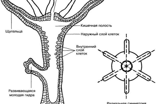 Кракен ссылка