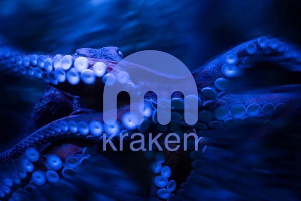 Kraken darknet зеркала кракен обход