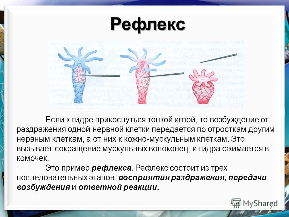 Кракен наркошоп сайт